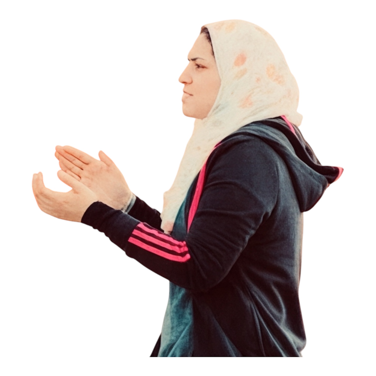 Noha ElNawawy